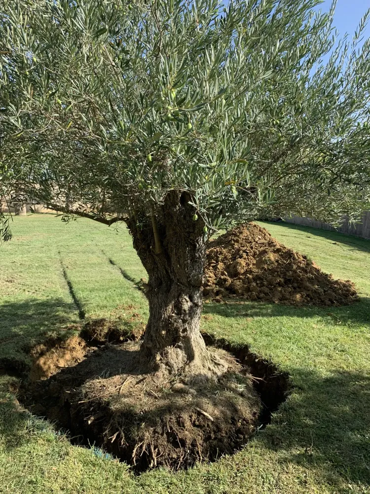 amenagement-exterieur-1
